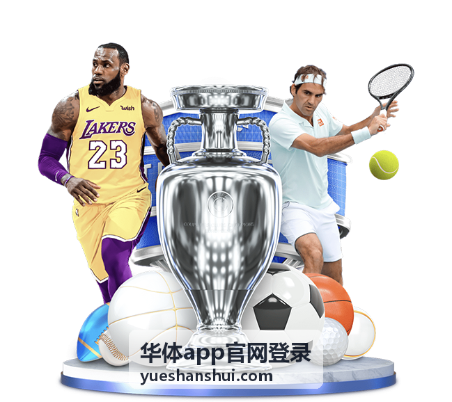 华体app官网登录账户安全提示与登录记录查看位置示意