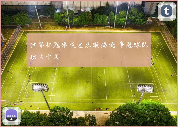 世界杯冠军奖金总额揭晓 争冠球队动力十足