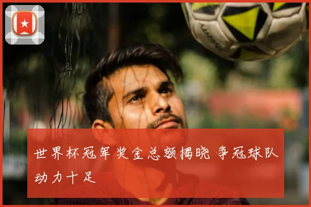 世界杯冠军奖金总额揭晓 争冠球队动力十足