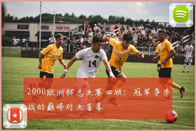 2000欧洲杯总决赛回顾：冠军争夺战的巅峰对决落幕